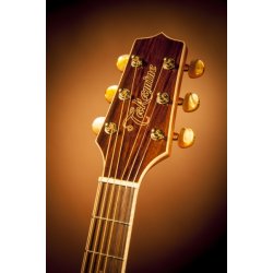 Takamine GN71CE Nex Body, Natural